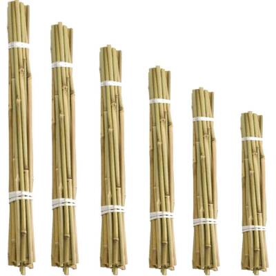 Bitki Destek Çubuğu Bambu 105 cm 10 Adet - 2