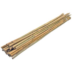 Bitki Destek Çubuğu Bambu 105 cm 10 Adet - 4